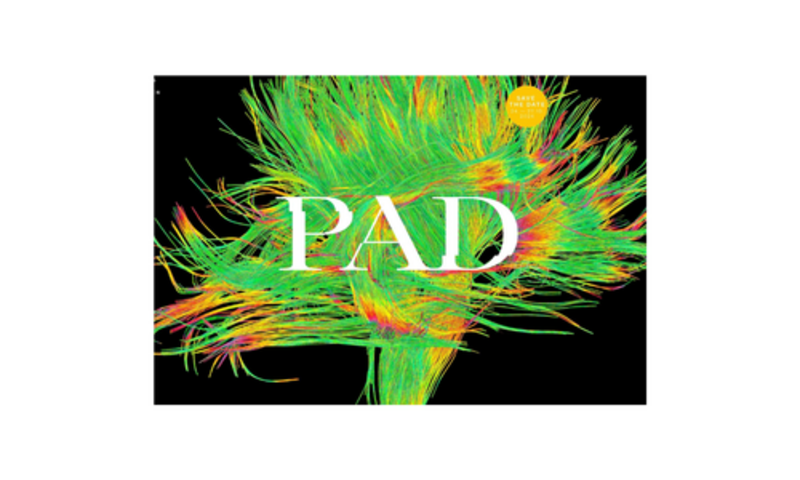 PAD Festival Logo