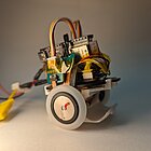 Portrait von  Interconnected